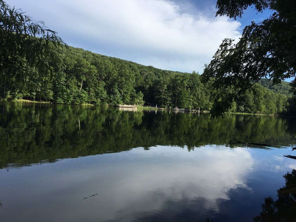 Parking Spot At Cunningham Falls | Thurmont, MD 21788, USA