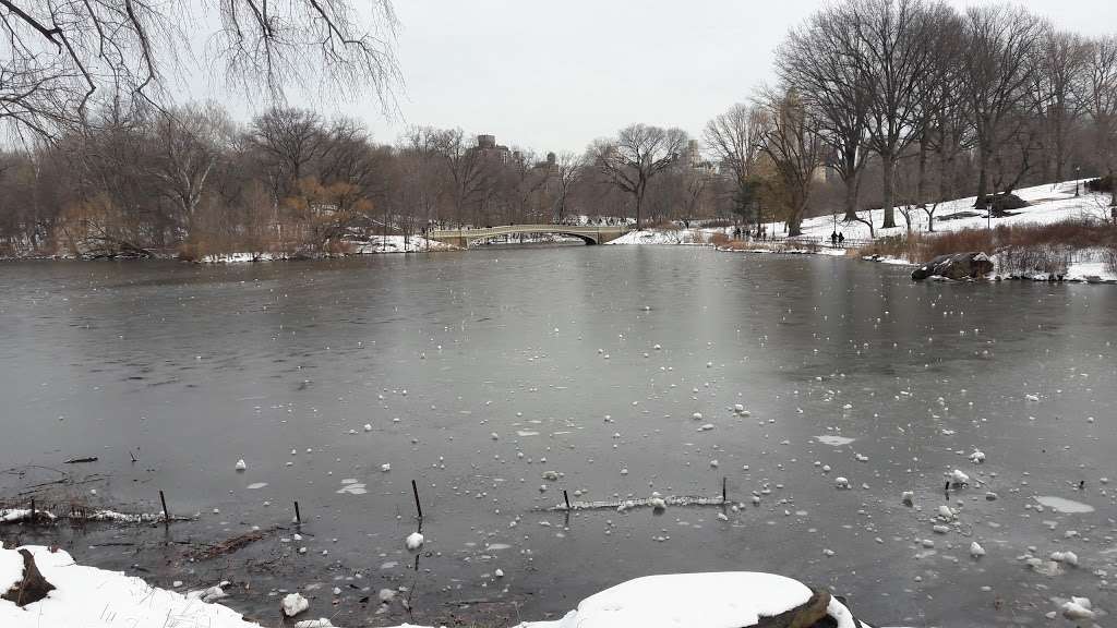 Bluwire | 1 Newark International Airport St, Newark, NJ 07114, USA