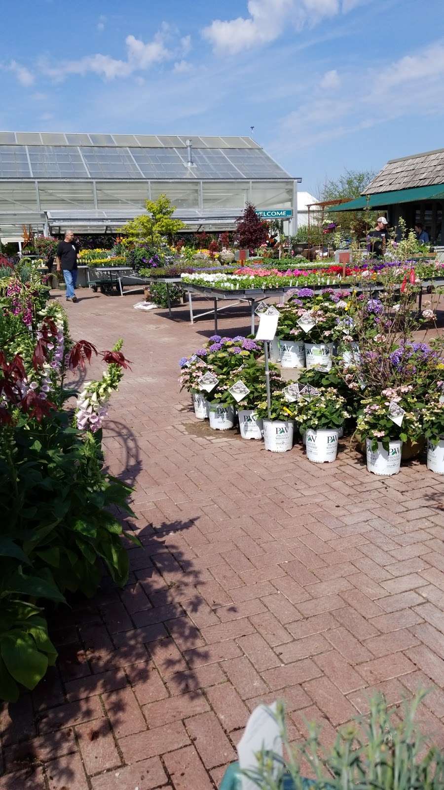 Wasco Nursery & Garden Center | 41 W781 IL-64, St. Charles, IL 60175, USA | Phone: (630) 584-4424