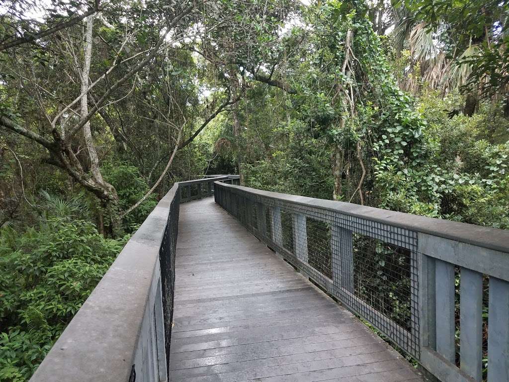 Tall Cypress Natural Area | 3700 Turtle Run Blvd, Coral Springs, FL 33065, USA | Phone: (954) 357-5100