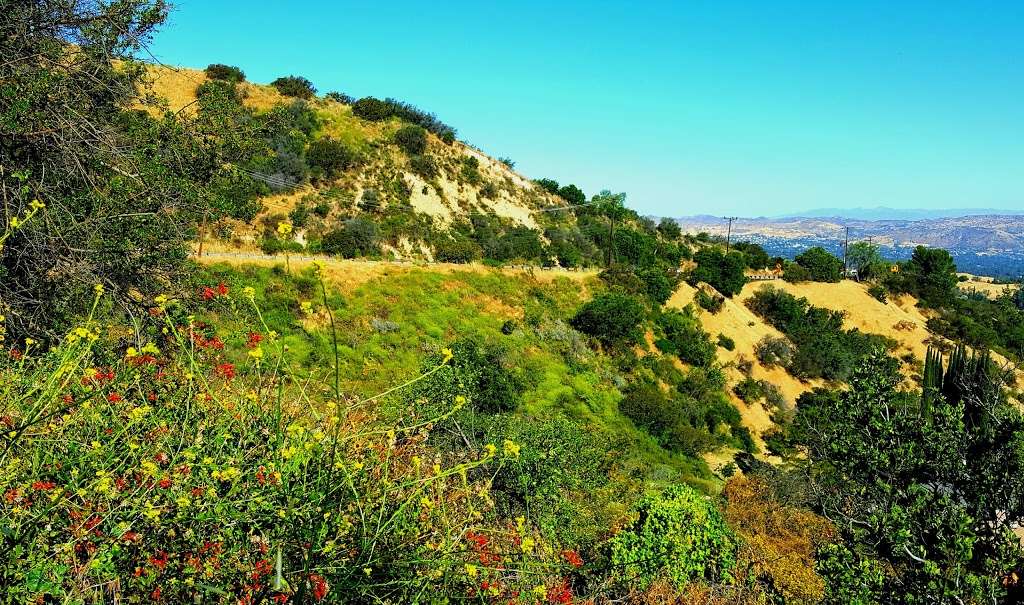 Top of Topanga Overlook | 3400 N Topanga Canyon Blvd, Topanga, CA 90290, USA | Phone: (323) 221-9944