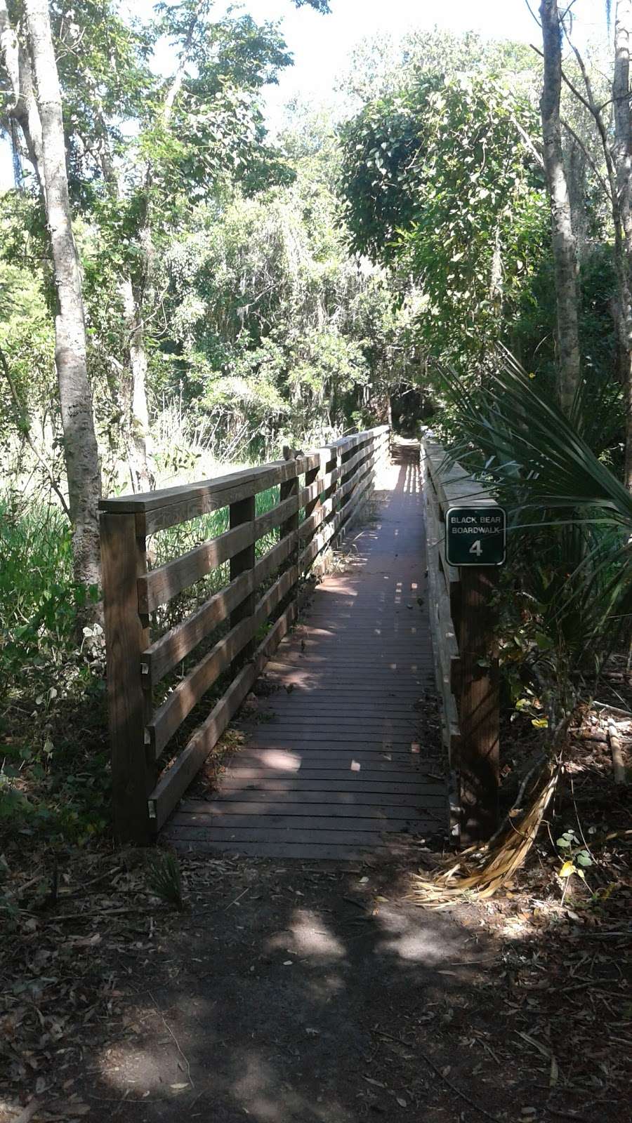 Black Bear Wilderness Trailhead | 5298 Michigan Ave, Sanford, FL 32771, USA | Phone: (407) 665-2211