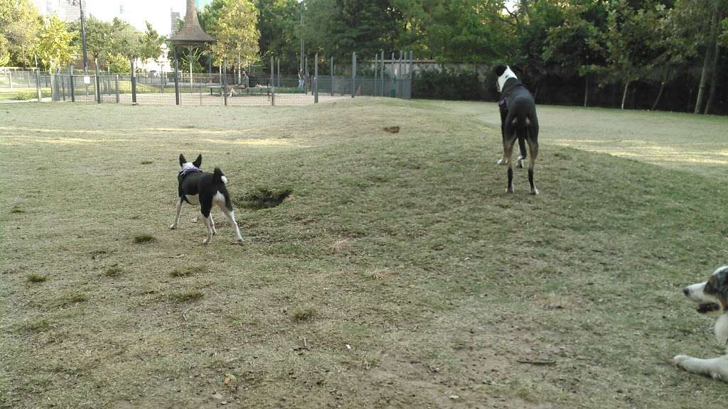 Park For Humans And Dogs | 901 Sawyer St, Houston, TX 77007, USA