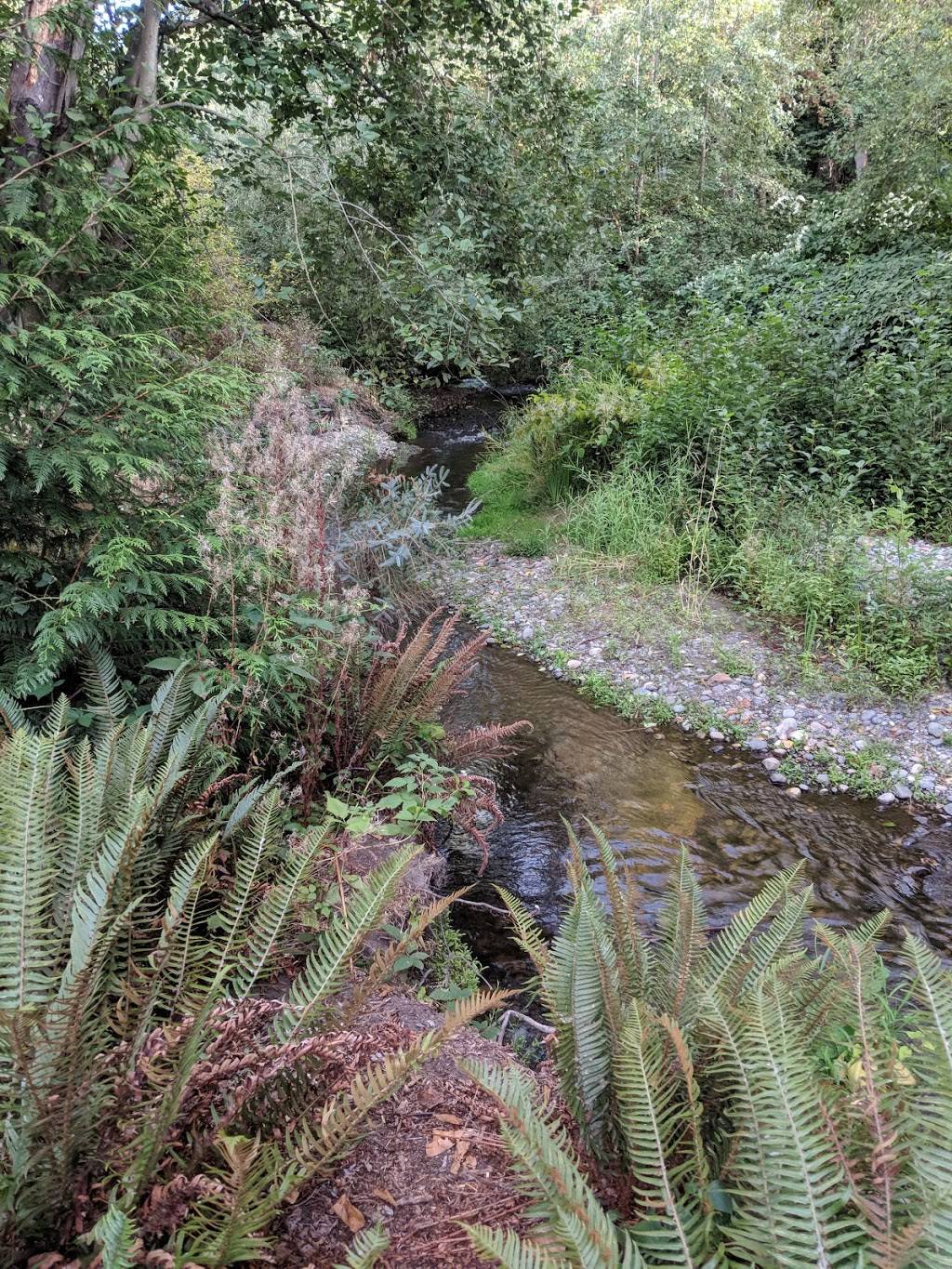 May Creek Trail | 4260 Lake Washington Blvd N, Renton, WA 98056, USA | Phone: (206) 477-4527