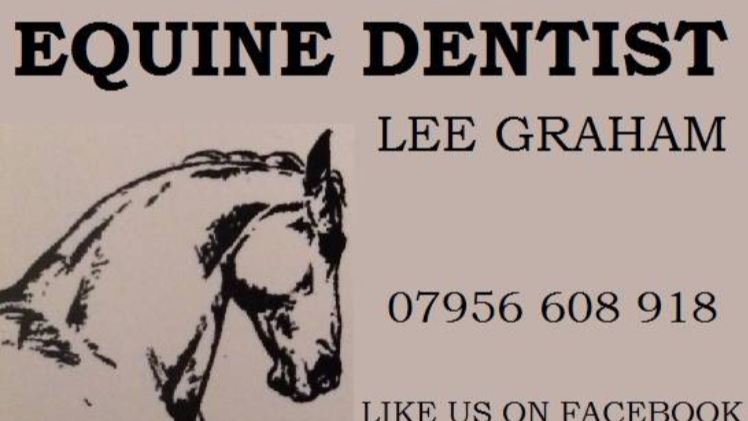 Lee Graham Equine Dentist | Yalding, Maidstone, Kent ME15 0PJ, UK | Phone: 07956 608918