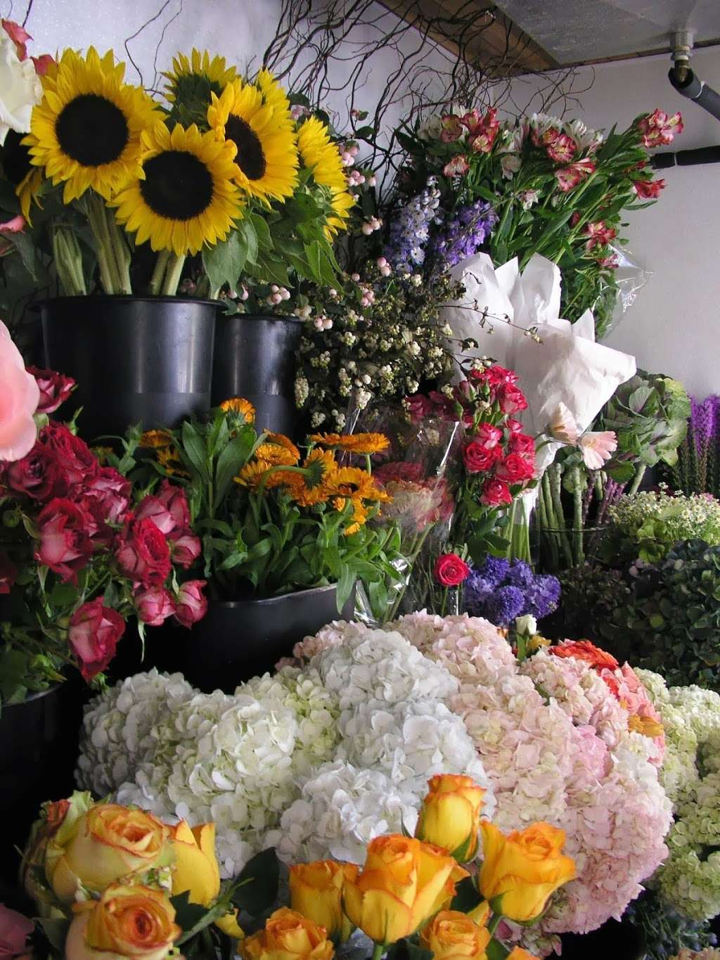 Woodmere Florist | 1106 Broadway, Woodmere, NY 11598, USA | Phone: (516) 374-0960