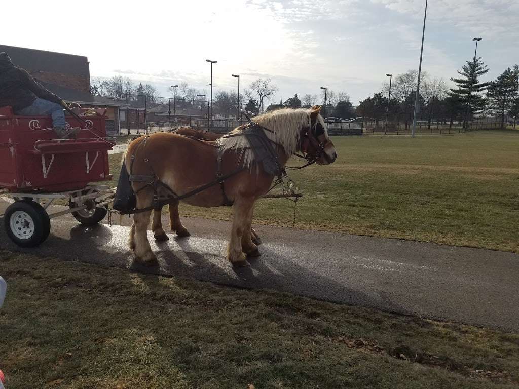 Community Park | Addison, IL 60101, USA | Phone: (630) 233-7275 ext. 2