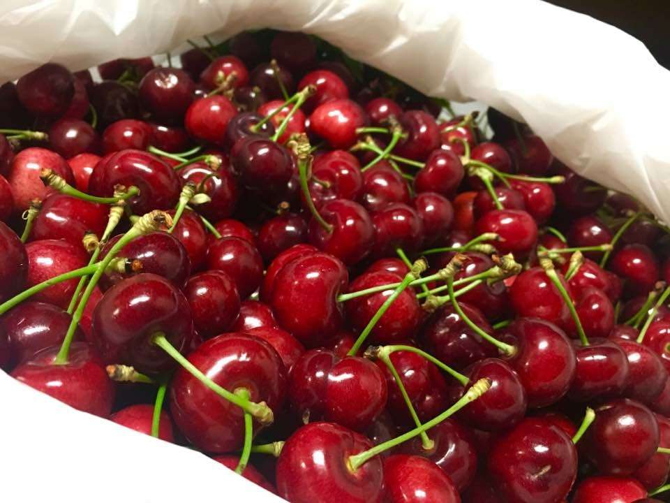 Bloomfield Cherries | 501 Payne Ave, Brentwood, CA 94513, USA | Phone: (925) 550-5539