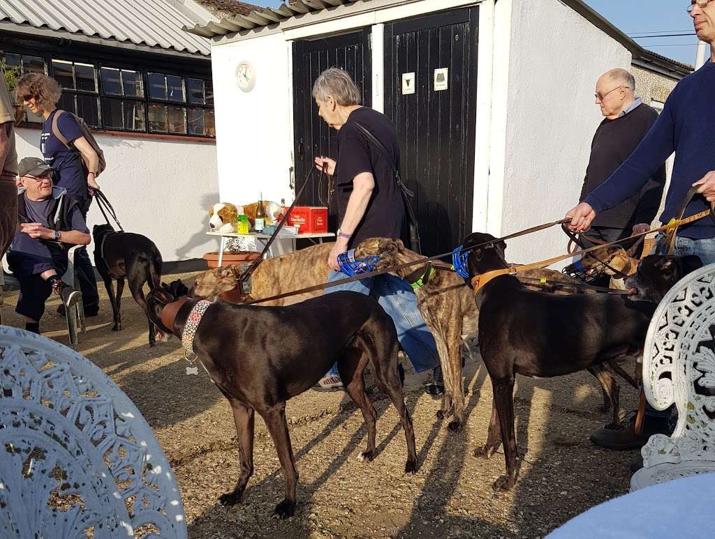 Whittingham Kennels - Greyhound Trust Henlow and Waltham Abbey | 6 Claverhambury Rd, Waltham Abbey EN9 2BL, UK | Phone: 020 8444 9649