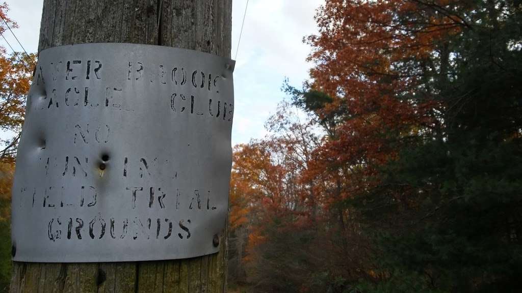 Beaver Brook Beagle Club | East Bridgewater, MA 02333, USA