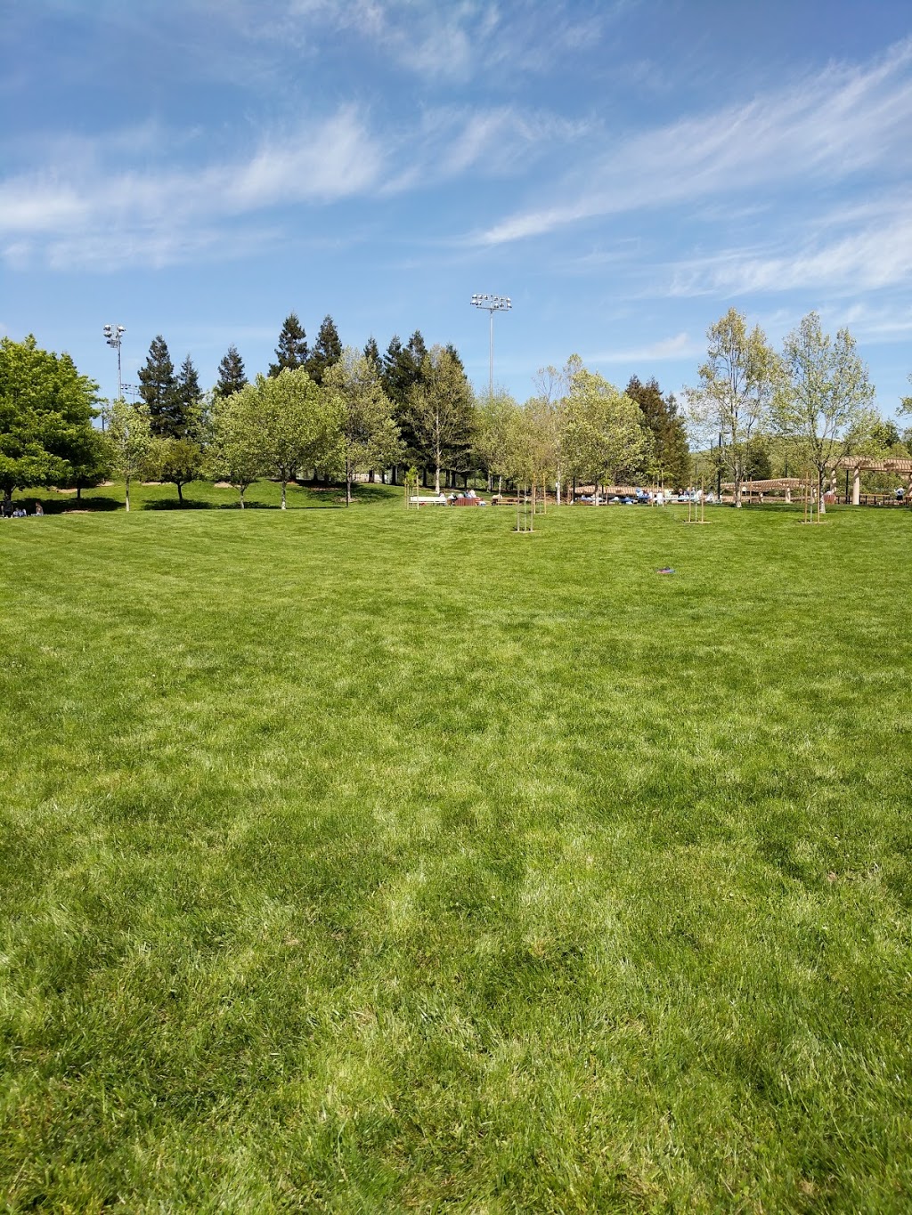 Sycamore Valley Park | 2101 Holbrook Dr, Danville, CA 94526, USA | Phone: (925) 314-3400