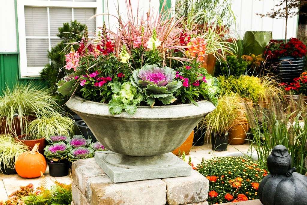 Perennials Plus | 4510 W 166th St, Westfield, IN 46074 | Phone: (317) 867-5504