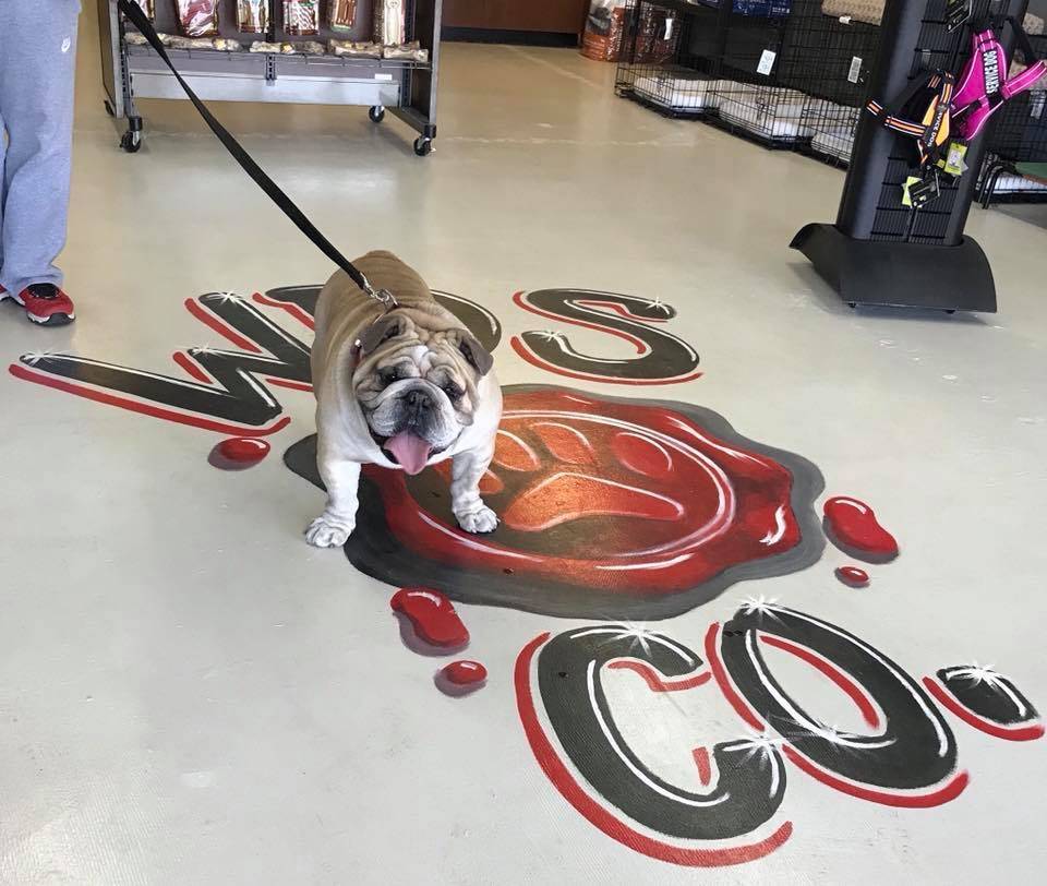Working Dogg Supply Co. | 2149 50th St Suite A, Lubbock, TX 79412, USA | Phone: (806) 368-7050