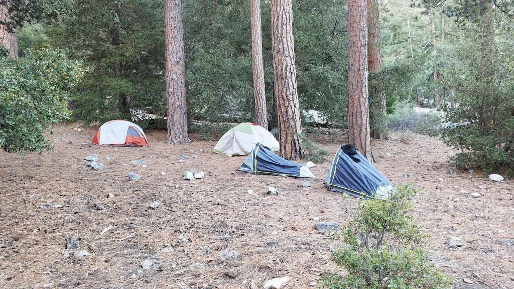 Cedar Glen | Mt Baldy, CA 91759, USA