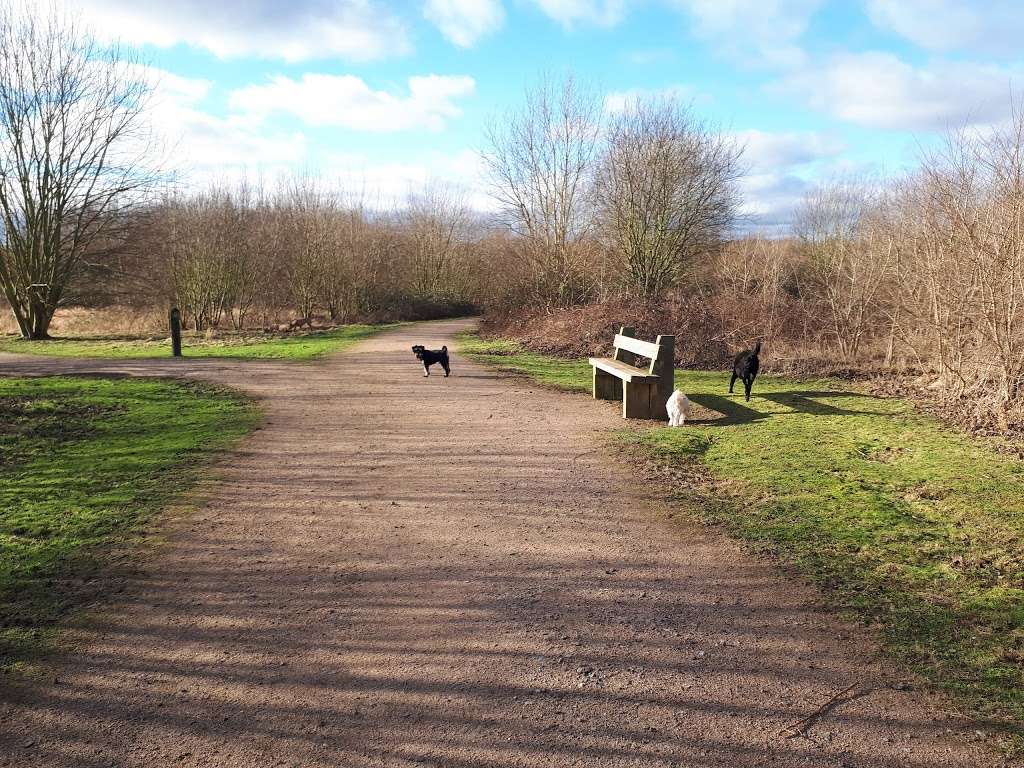 Country Park Lake | Rainham, Upminster RM14 2TF, UK