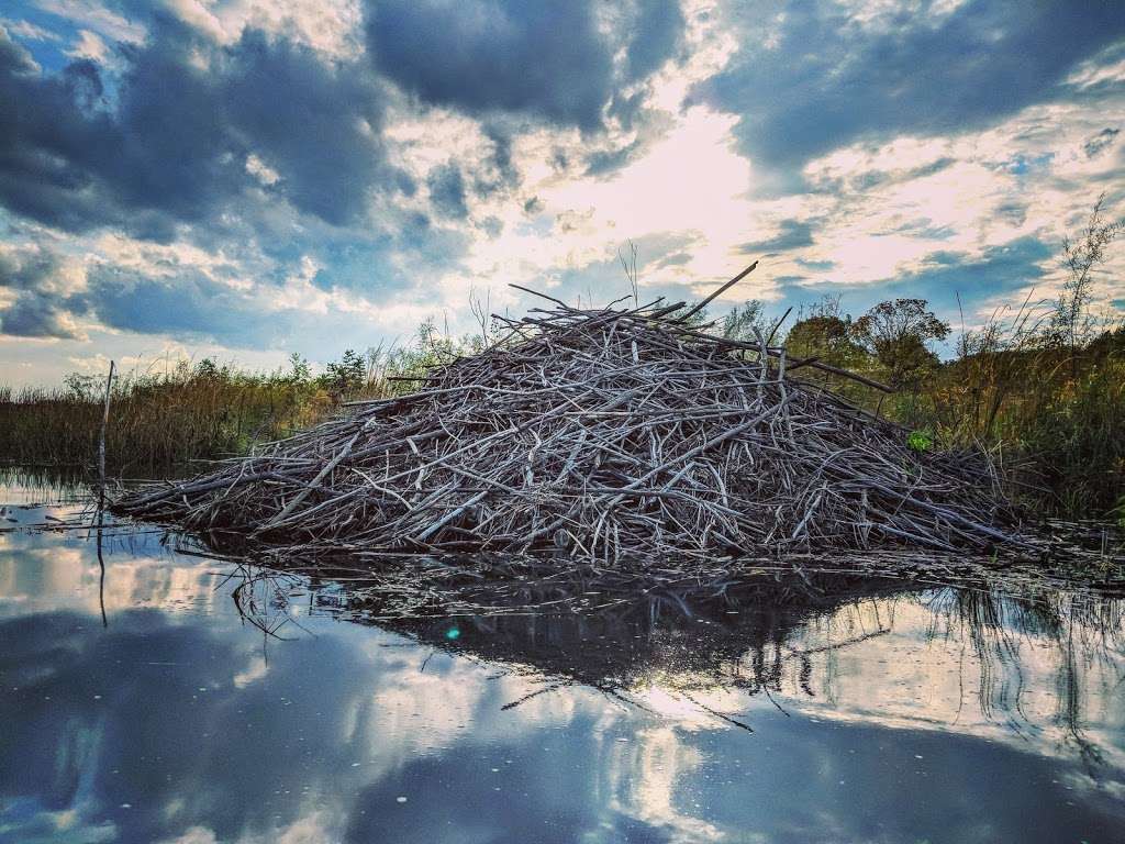 Sterling Lake | Forest Preserve, Wadsworth, IL 60083, USA