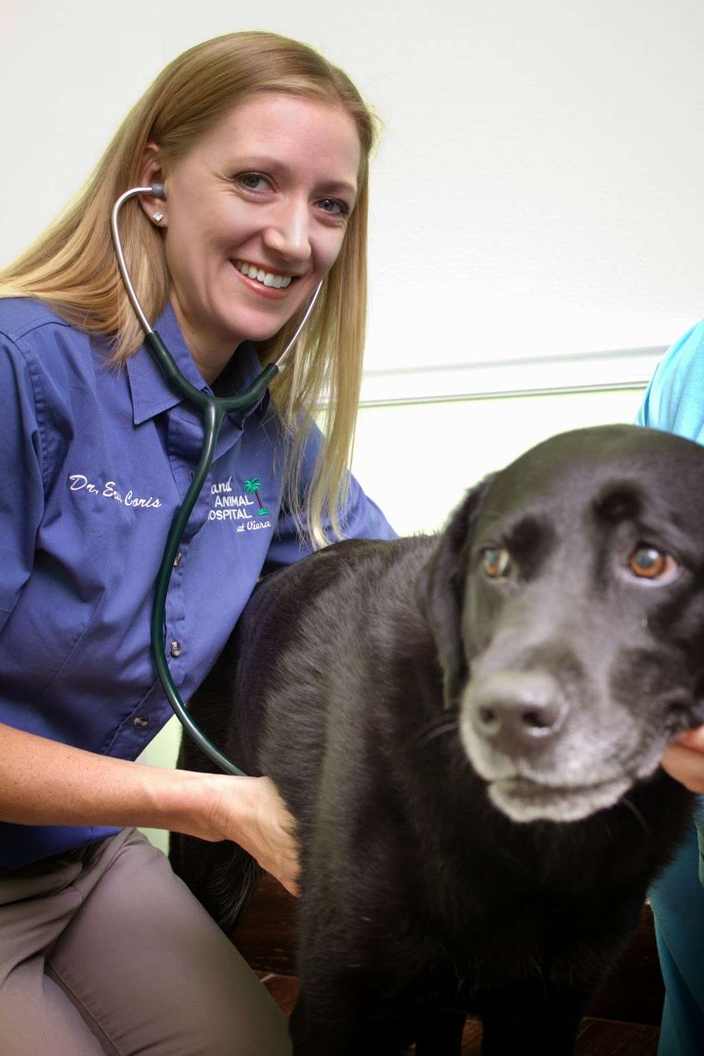 Island Animal Hospital in Viera | 5380 Stadium Pkwy Suite 111, Rockledge, FL 32955, USA | Phone: (321) 633-8387