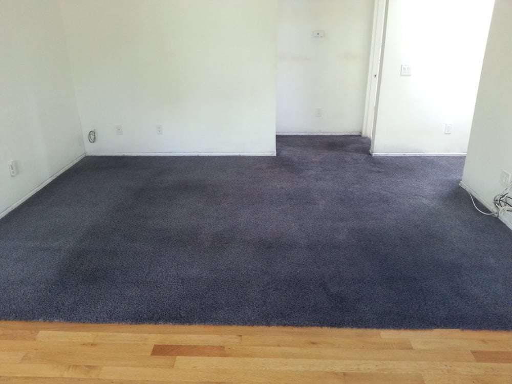 McCarthy Carpet Cleaning Service | 4 Coconut Ln, Ocean Ridge, FL 33435, USA | Phone: (561) 413-9390