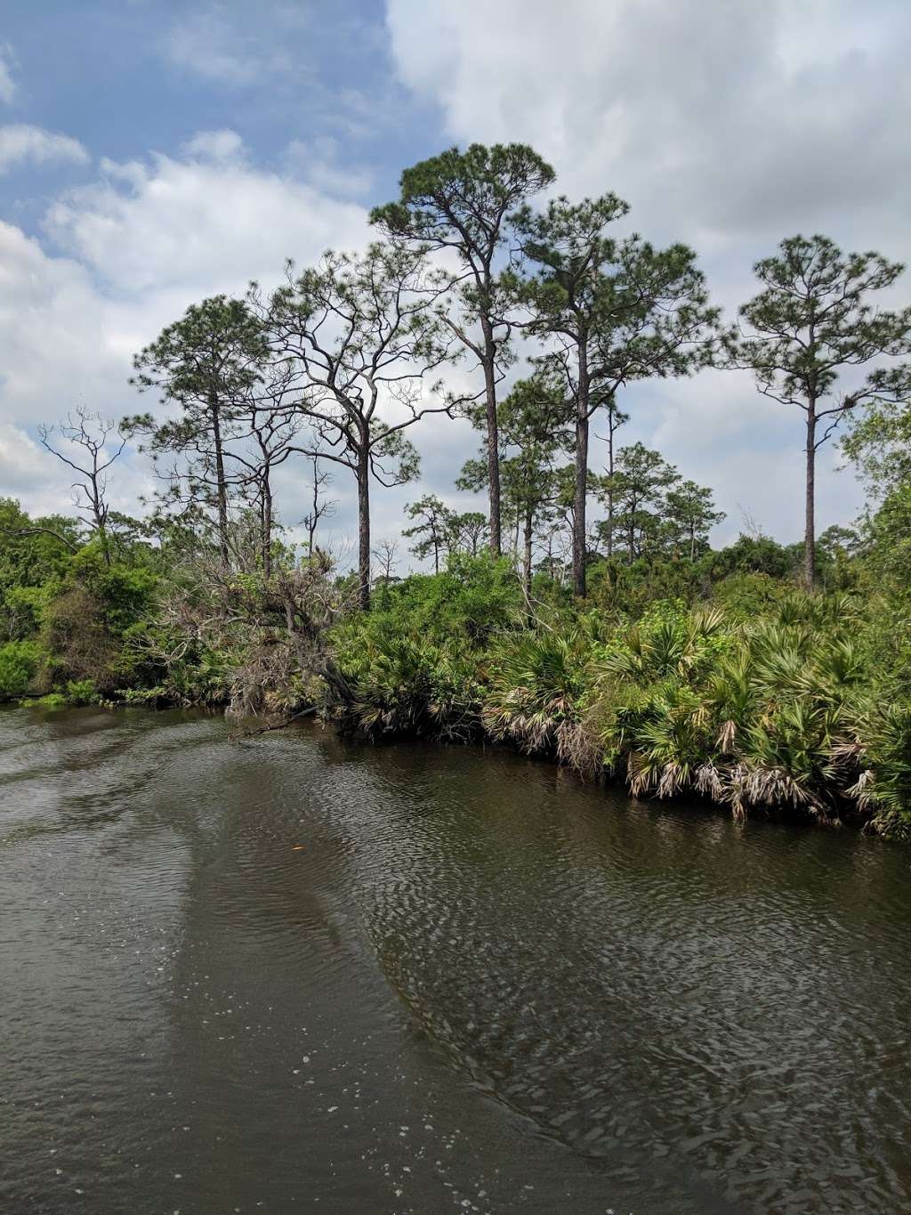 Jonathan Dickinson State Park River Tours | 16450 SE Federal Hwy, Hobe Sound, FL 33455, USA | Phone: (561) 746-1466