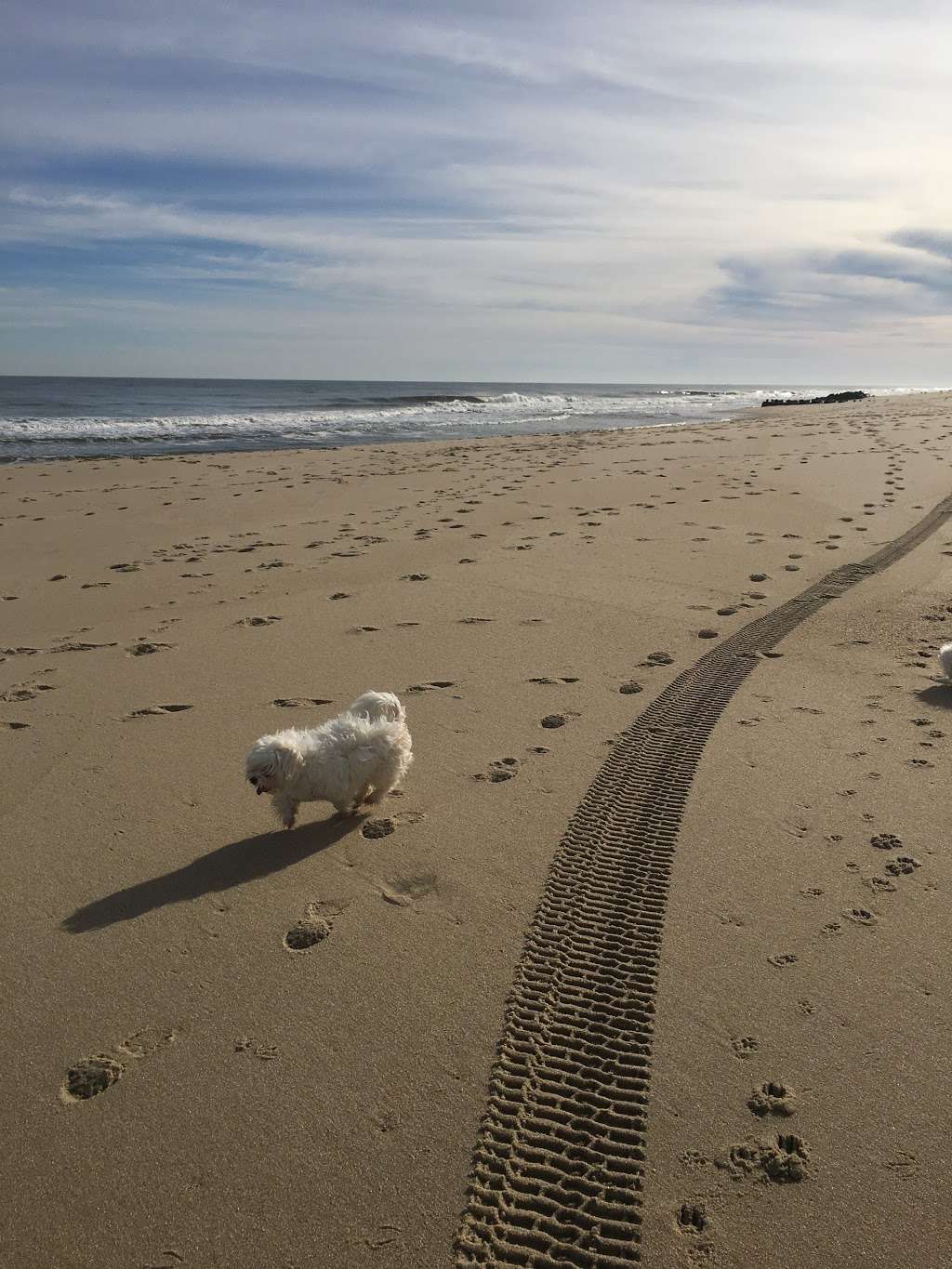 North End Beach | Ocean Ave N, Long Branch, NJ 07740, USA