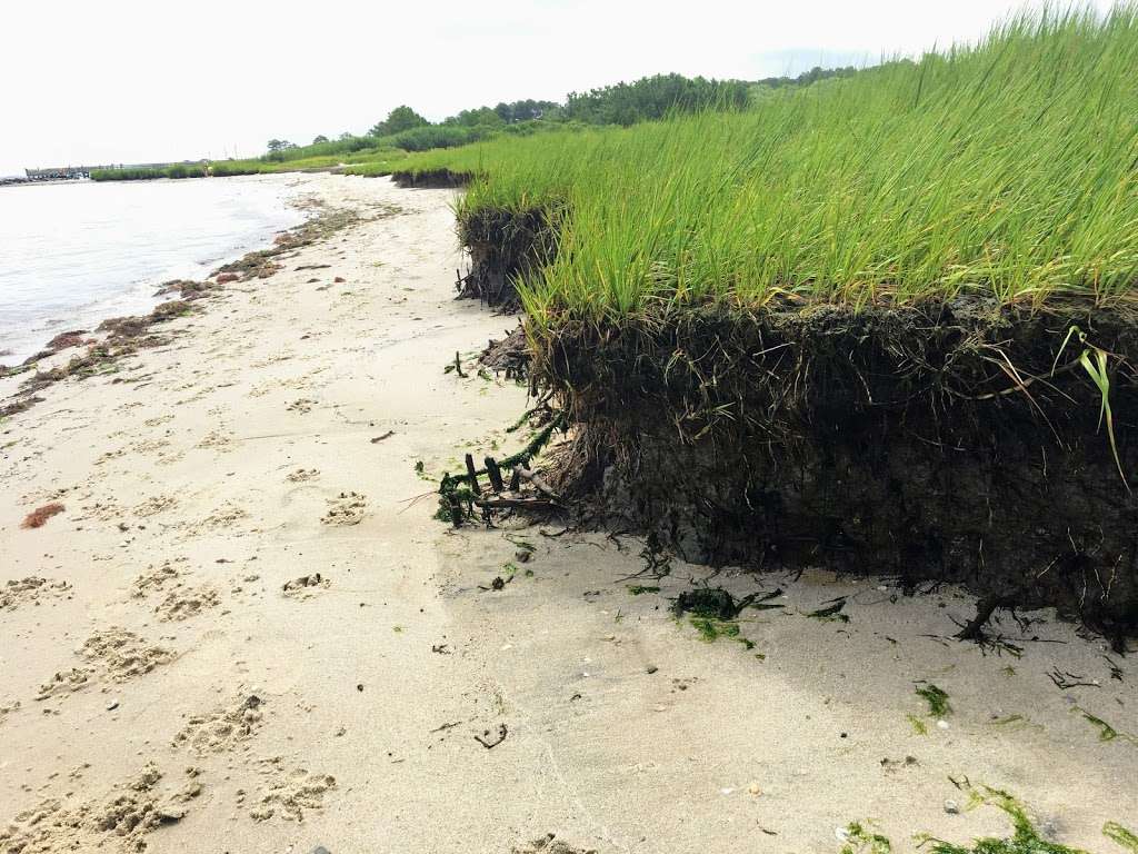 Holts Landing State Park | Holts Landing Road, Park office at 39415 Inlet Rd., Rehoboth Beach, DE, Dagsboro, DE 19939, USA | Phone: (302) 227-2800