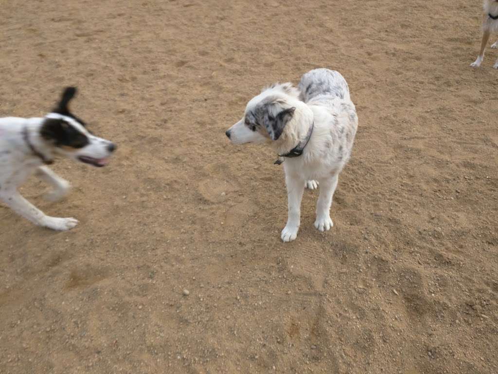 Valmont Dog Park | 5123-5275 Valmont Rd, Boulder, CO 80301