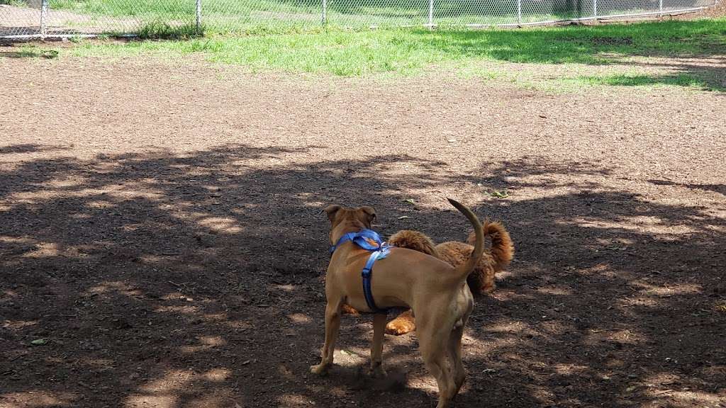 Underbridge Dog Run | 64th Ave. &, Grand Central Pkwy, Forest Hills, NY 11375, USA