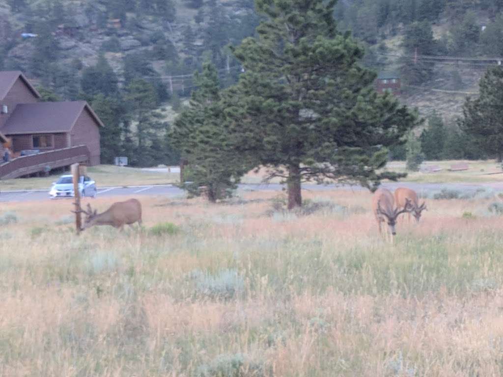 Garris Lodge | Estes Park, CO 80517, USA