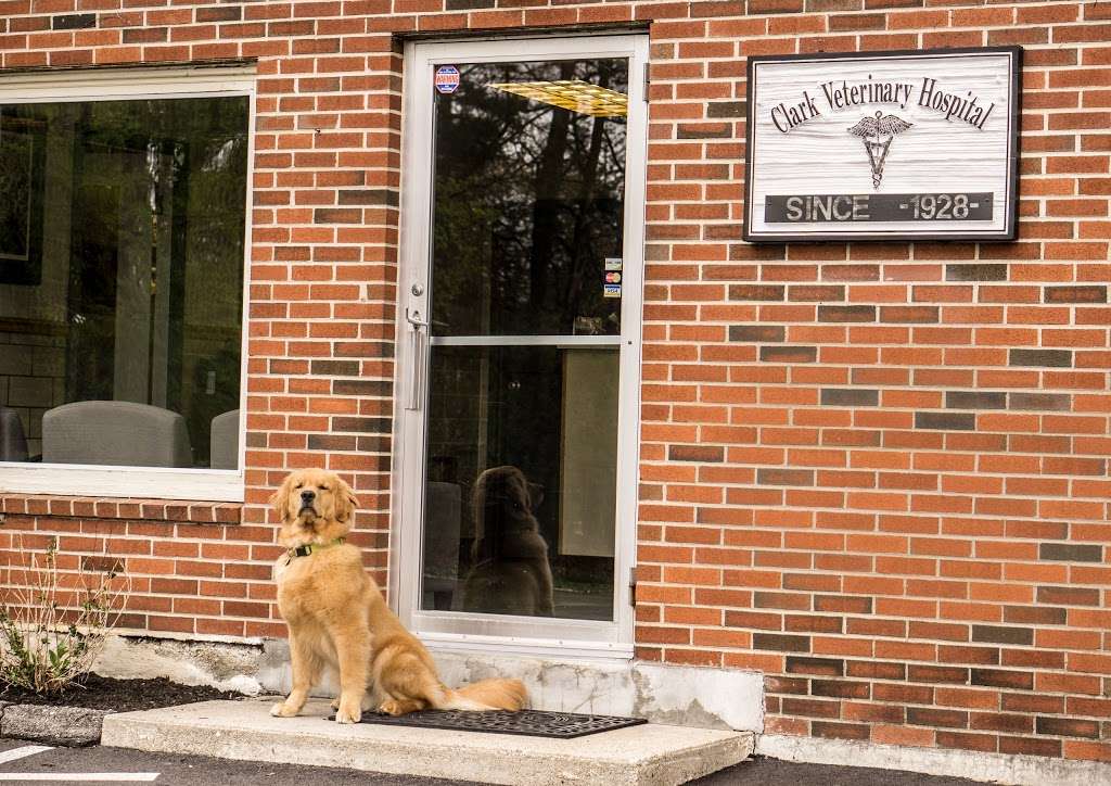 Clark Veterinary Hospital | 40 Webster St, Nashua, NH 03064, USA | Phone: (603) 605-8432