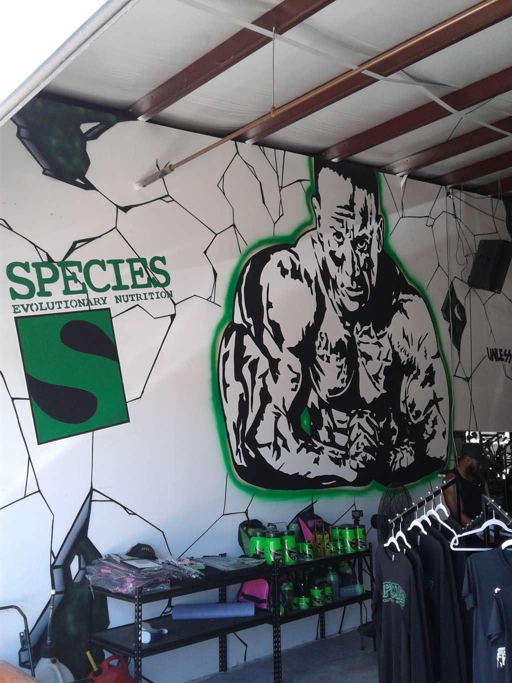 Species Gym | 3115 N Fry Rd #305, Katy, TX 77449 | Phone: (832) 427-5770