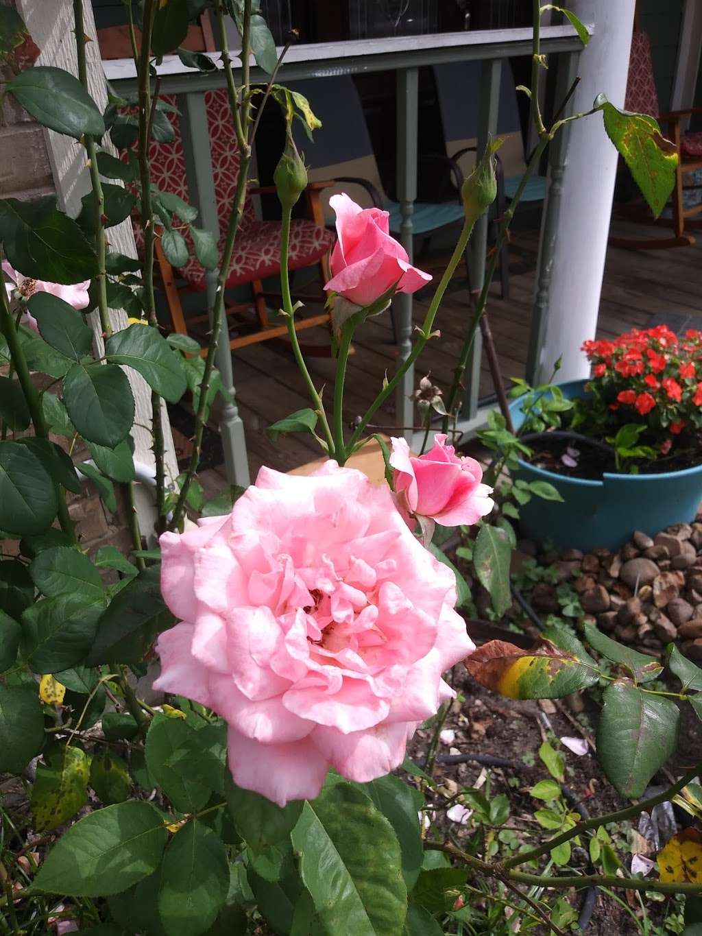 Lucios Market | 619 Silverdale Dr, Conroe, TX 77301, USA | Phone: (936) 756-5976