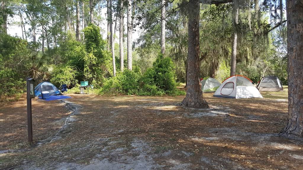 Lake Shore Group Campground - Ocala National Forest | 8340 N E 147th Avenue Rd, Silver Springs, FL 34488, USA
