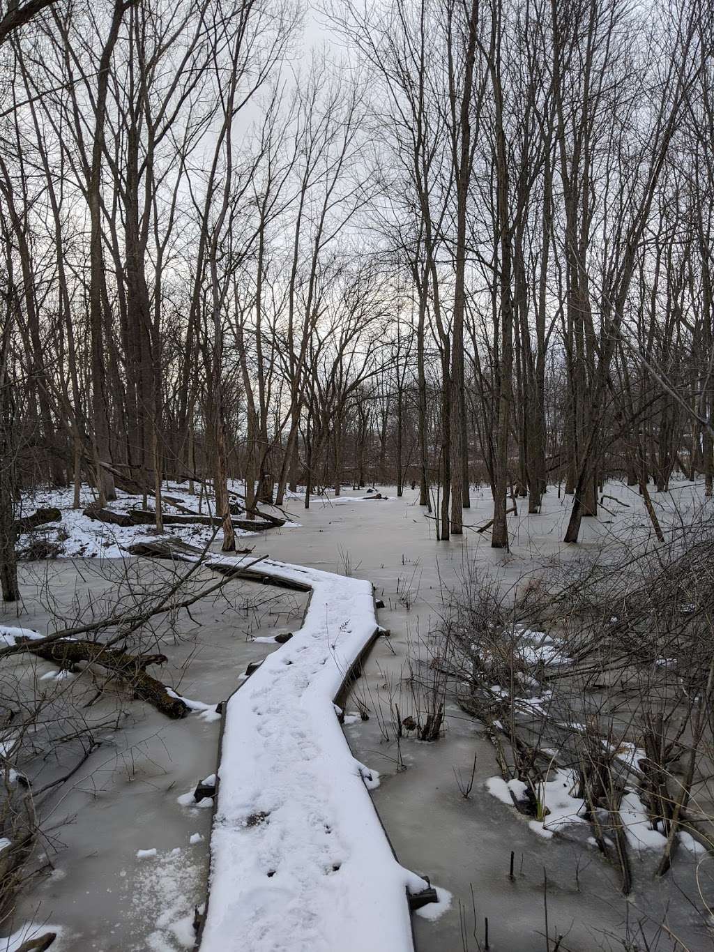 Mud Lake Bog Nature Preserve | 905 E Elm Valley Rd, Buchanan, MI 49107, USA