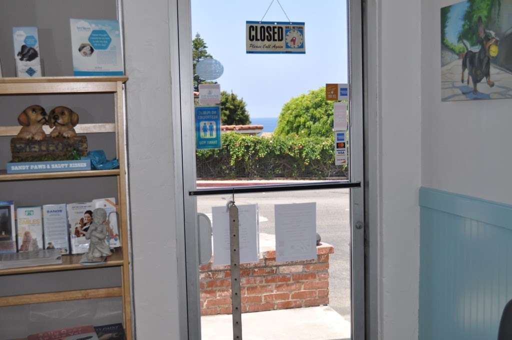 Arch Beach Veterinary Clinic | 2900 S Coast Hwy, Laguna Beach, CA 92651, USA | Phone: (949) 494-6583