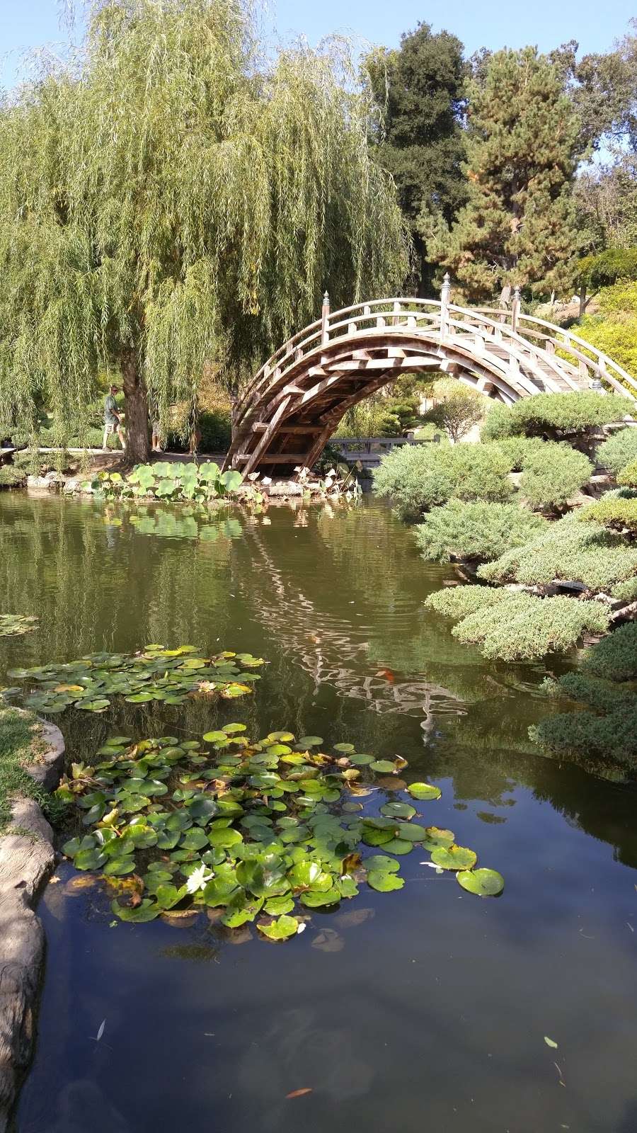 Japanese Gardens | San Marino, CA 91108, USA