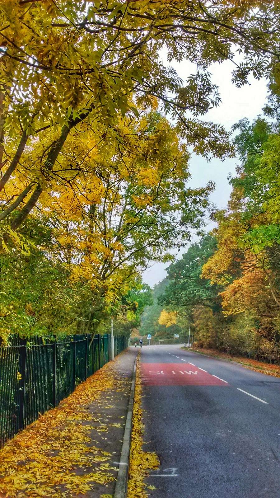 Hainault Lodge Nature Reserve | Chigwell IG6 3HP, UK