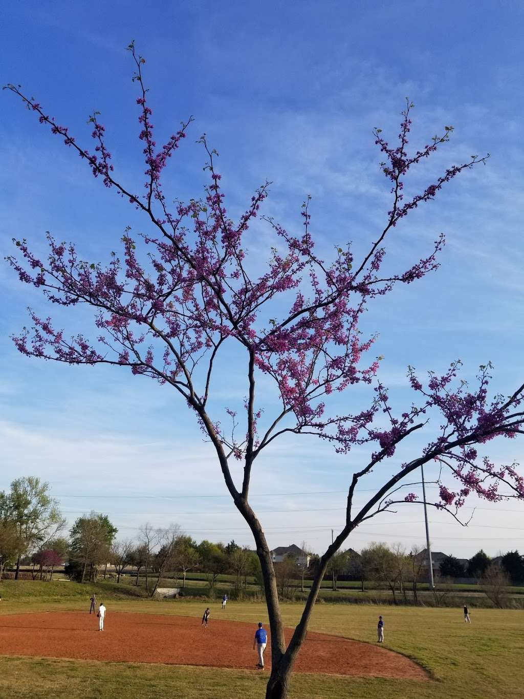 Timbers Nature Preserve | 324 Pine Top Dr, Murphy, TX 75094, USA