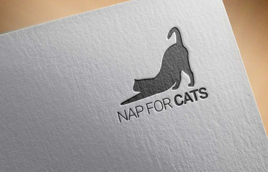 Nap for Cats | 185 Liberty Street A12, Little Ferry, NJ 07643, USA | Phone: (201) 207-8864