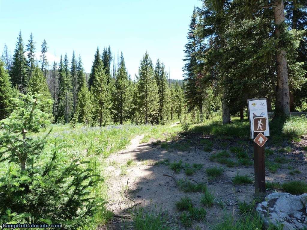 Rabbit Ears Campsite | Estes Park, CO 80517, USA