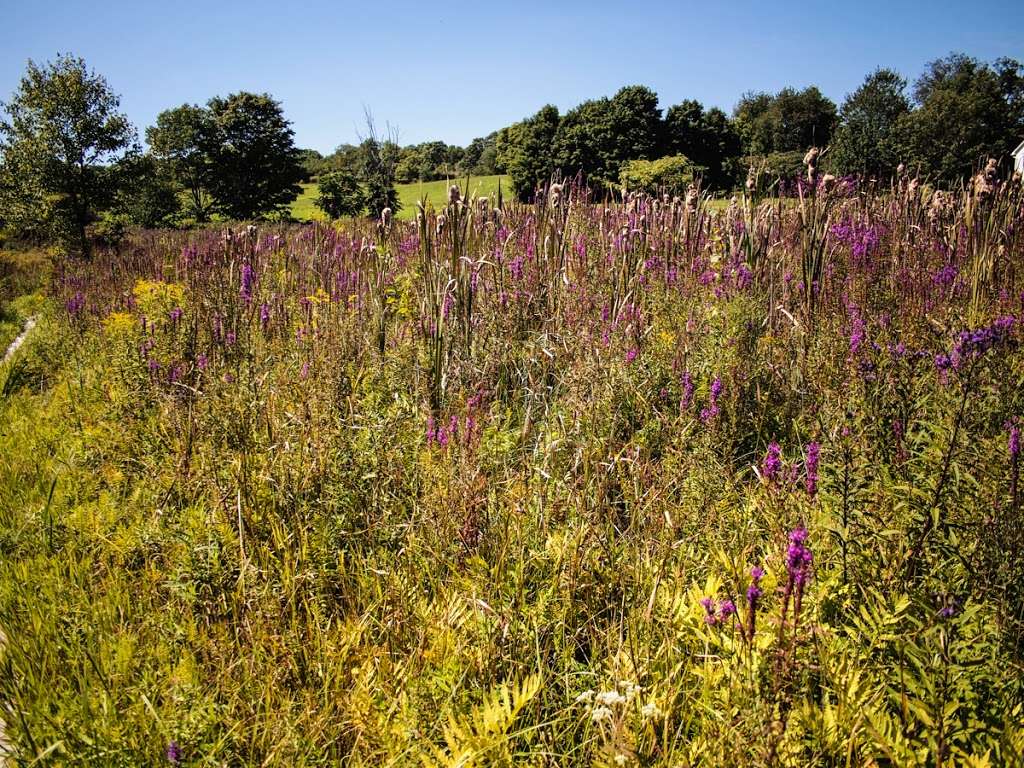 Appalachian Trail | State Line Rd, Westtown, NY 10998