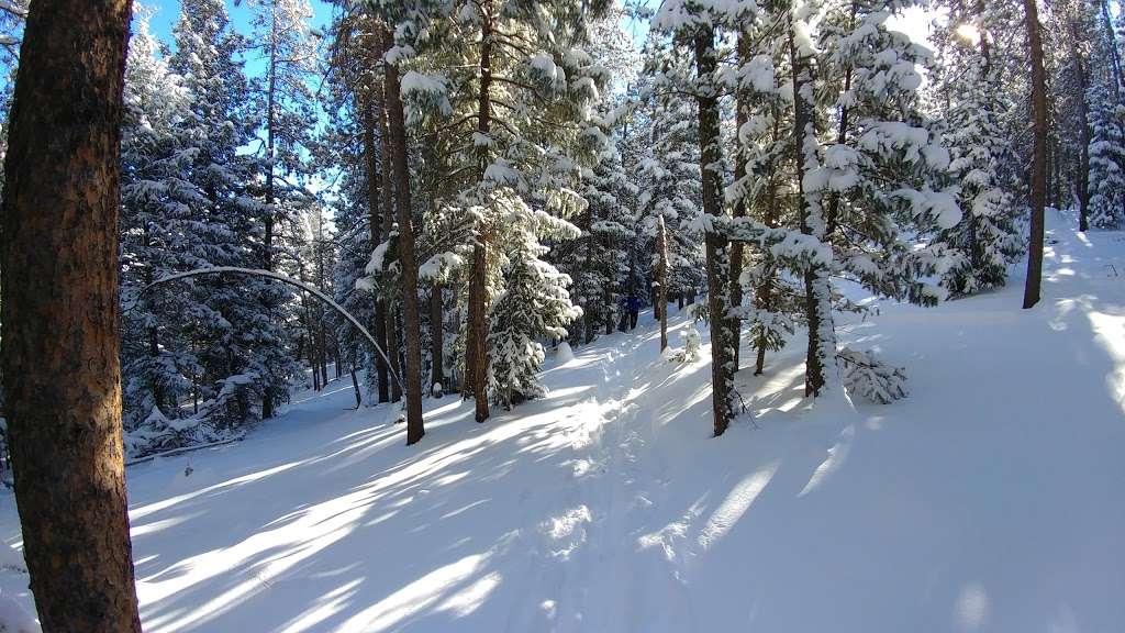 Flying J Ranch Park Trailhead | 9661 County Hwy 73, Conifer, CO 80433, USA | Phone: (303) 271-5925