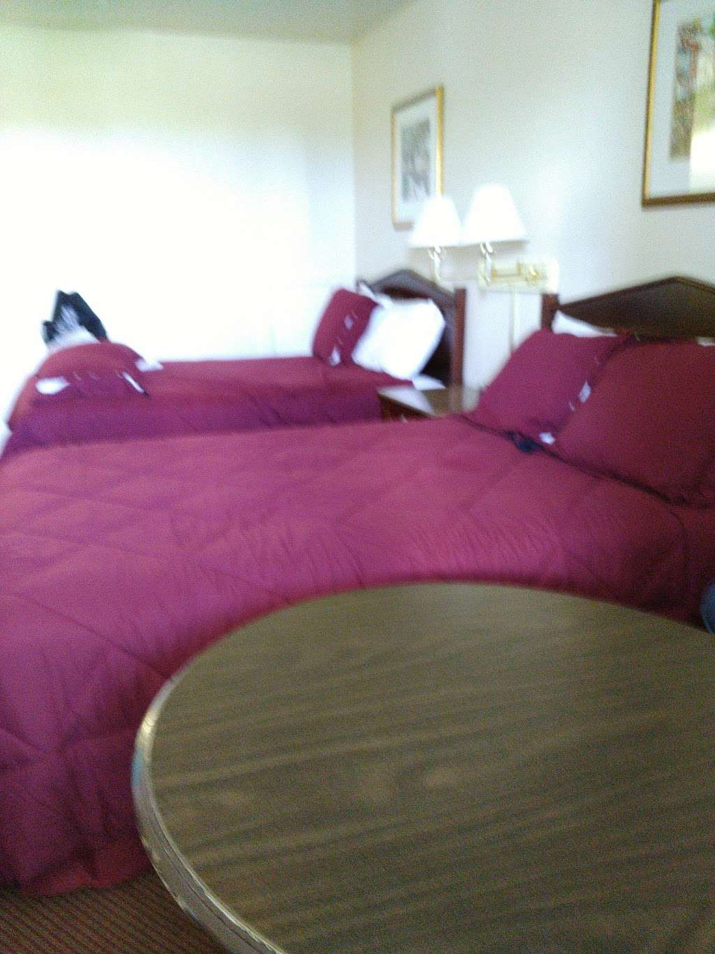 Red Carpet Inn & Suites | 13065 James Madison Hwy, Culpeper, VA 22701 | Phone: (540) 829-6700