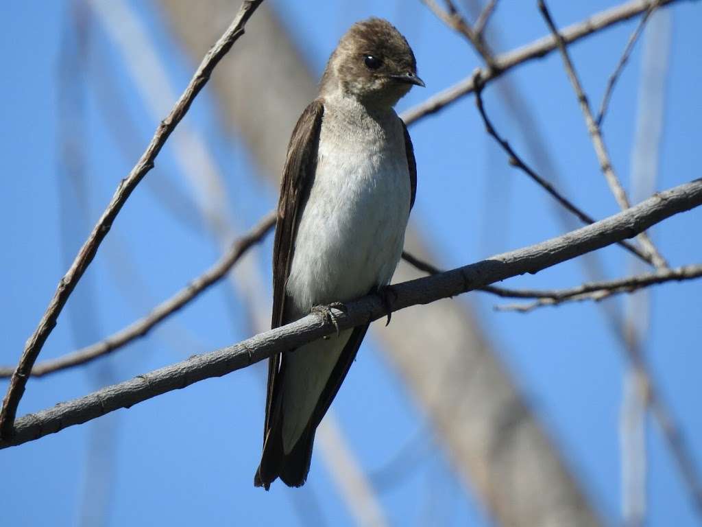 Hansen Dam Wild Life Reserve. | Lake View Terrace, CA 91342