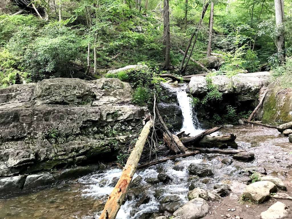 Dunnfield Creek Natural Area trailhead | 40°5818. 75°0733., 9 N 3rd St, Stroudsburg, PA 18360, USA