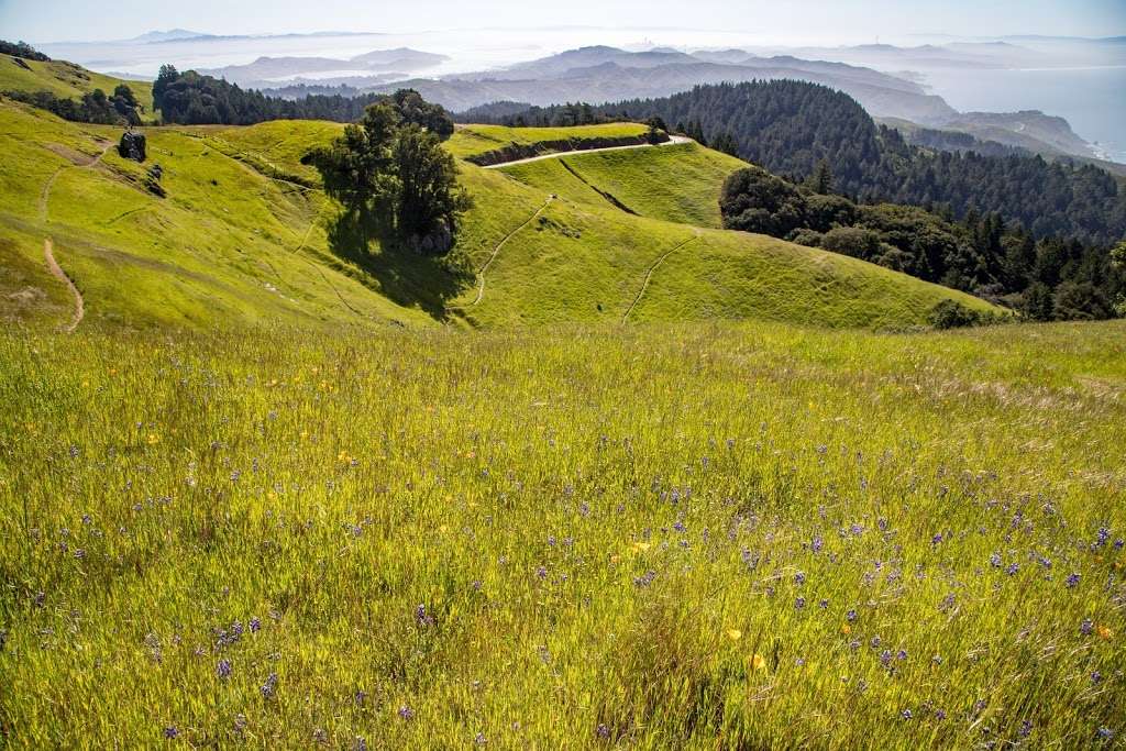 Golden Gate National Recreation Area | US-101, San Francisco, CA 94019 | Phone: (415) 561-4700