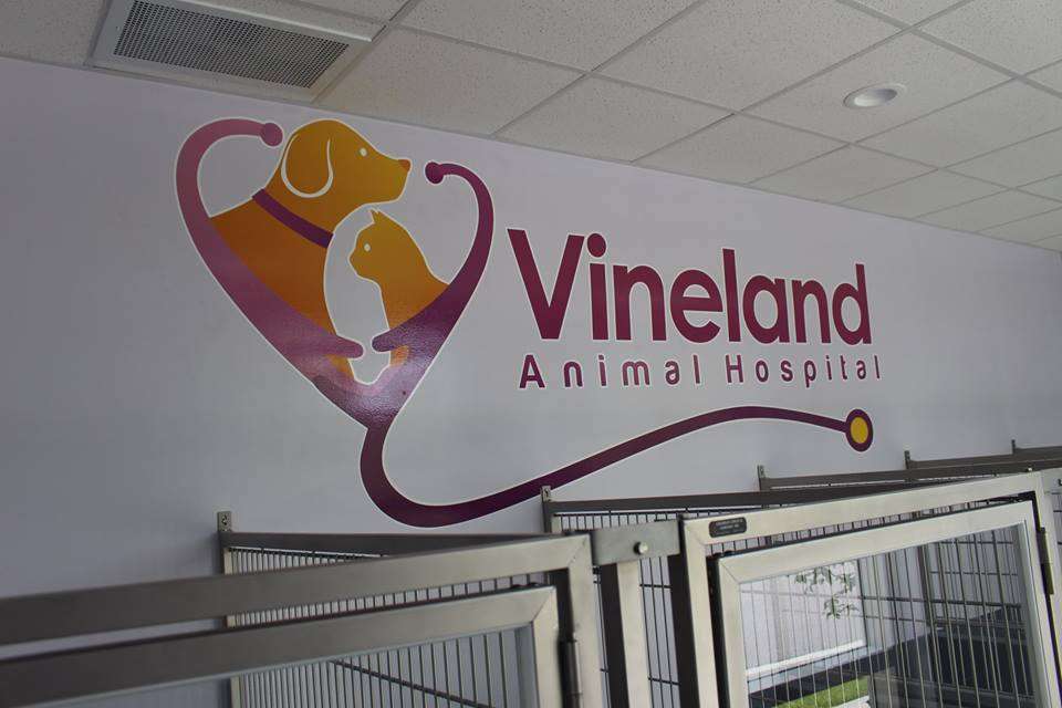 Vineland Animal Hospital | 11402 S Apopka Vineland Rd, Orlando, FL 32836, USA | Phone: (407) 233-3386