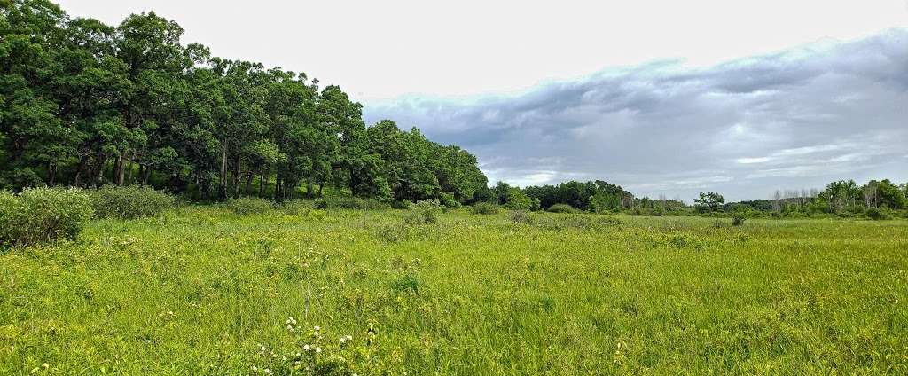 Genesee Oak Opening and Fen State Natural Area | W1969 Its a Little Rd, Mukwonago, WI 53149 | Phone: (608) 266-0394
