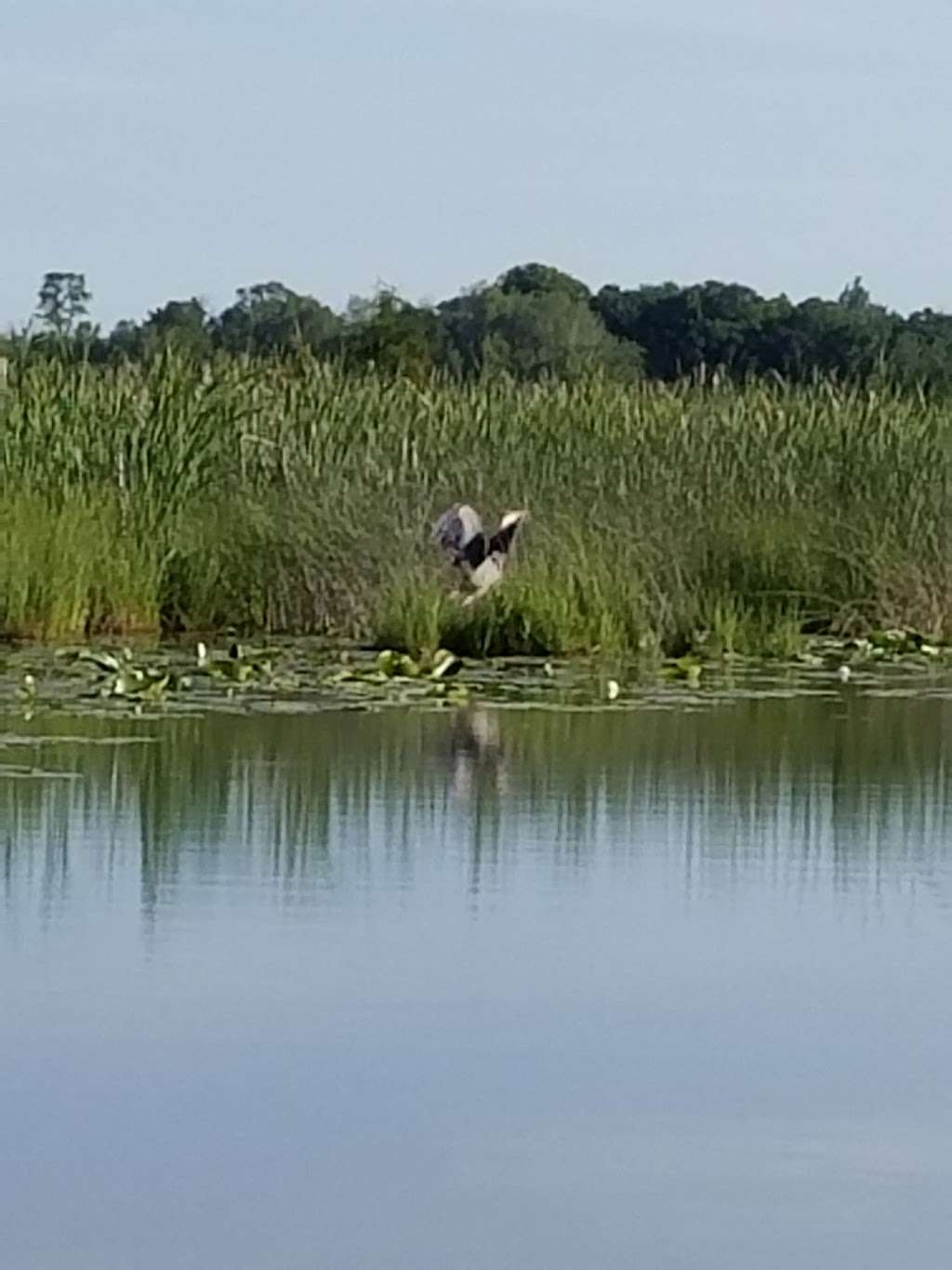 Lulu Lake State Natural Area | East Troy, WI 53120, USA | Phone: (608) 266-0394