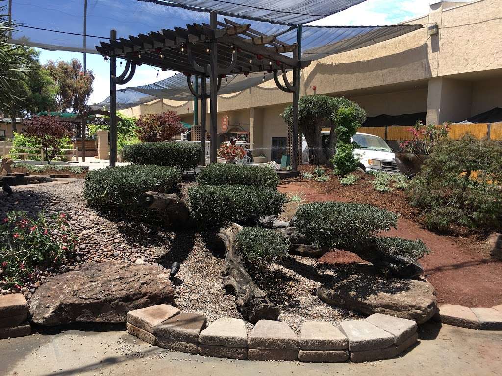 Olive A Dream Trees - Ancient Olive Tree Nursery | 2233 Rainbow Valley Blvd, Fallbrook, CA 92028 | Phone: (800) 816-1783