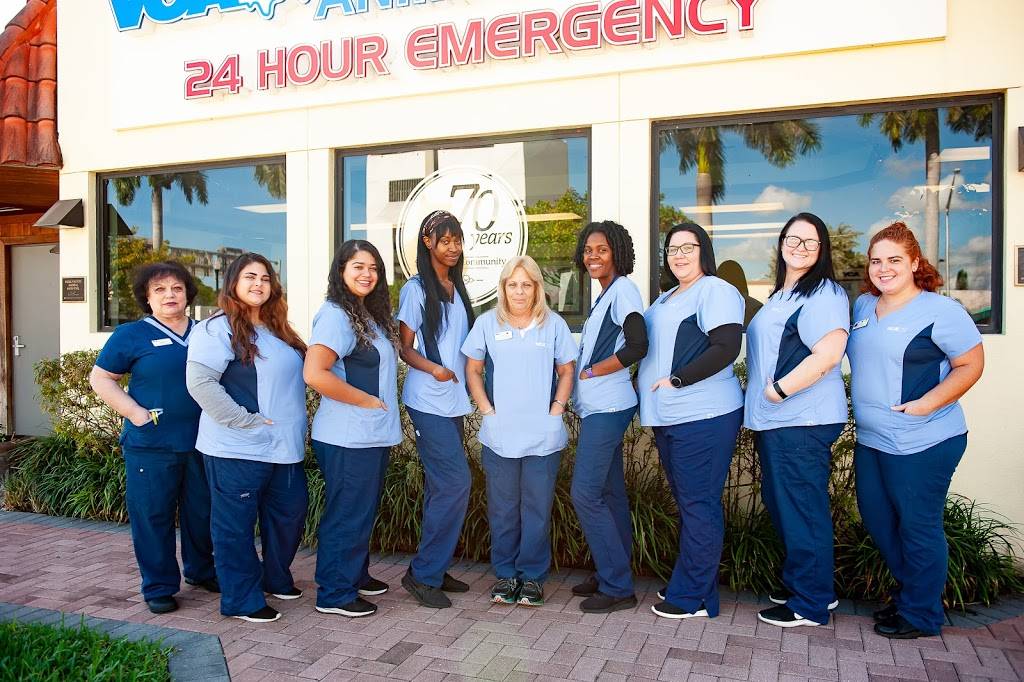 VCA Hollywood Animal Hospital | 2864 Hollywood Blvd, Hollywood, FL 33020 | Phone: (954) 920-3556